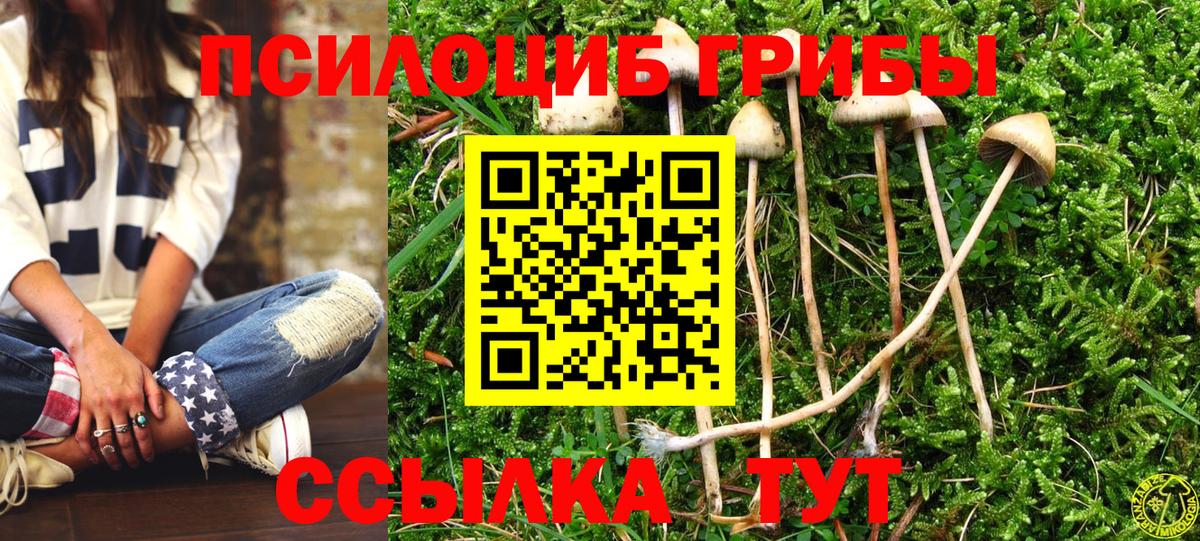 Псилоцибиновые грибы Magic Shrooms Орёл