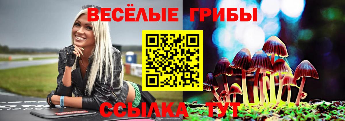 где найти наркотики  Галлюциногенные грибы MAGIC MUSHROOMS  Орёл  Вход с VPN  Псилоцибиновые грибы Psilocybe 